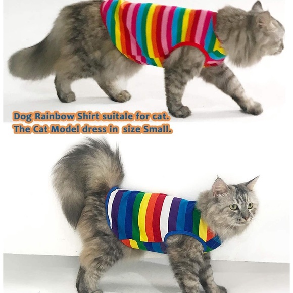 NEW Dog/Cat Shirts Two Pack Rainbow Stripe - Picture 2 of 5